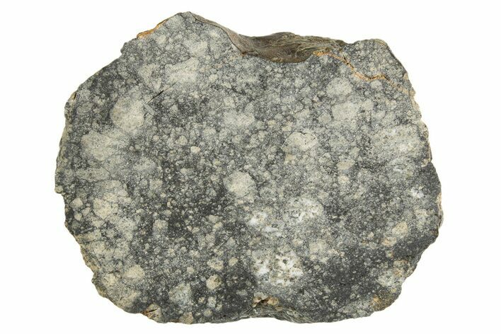 Eucrite Meteorite ( g) Section - From Vesta Minor-Planet #304272